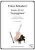 Schubert, "Arpeggione" Sonata D. 821